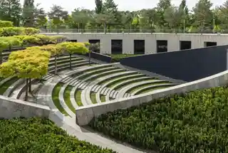 our story sattva sumera